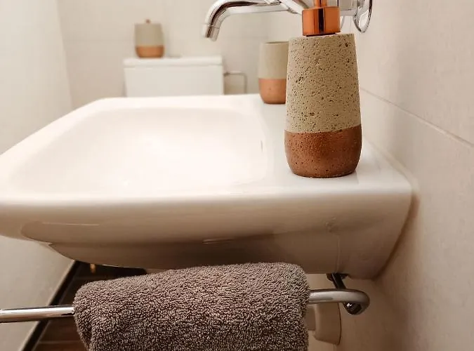 伯尔尼中心公寓 *